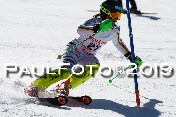 FIS AC + NC AC Slalom Damen + Herren 22.03.2019