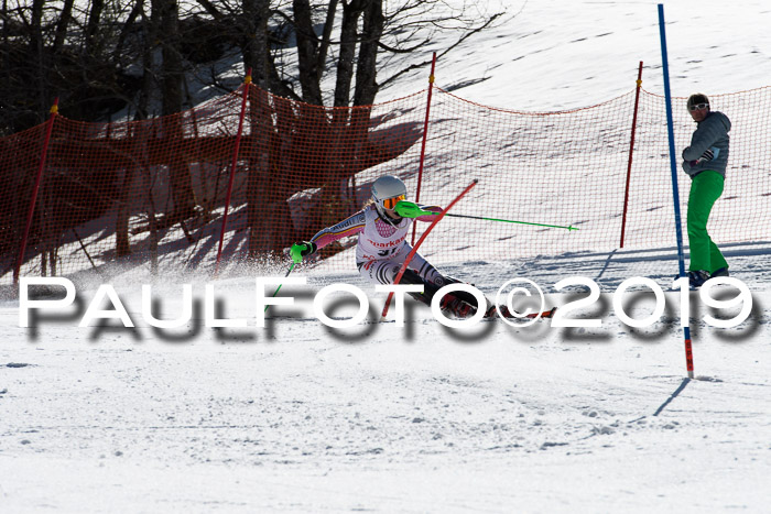 FIS AC + NC AC Slalom Damen + Herren 22.03.2019