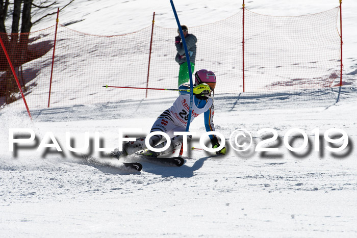 FIS AC + NC AC Slalom Damen + Herren 22.03.2019