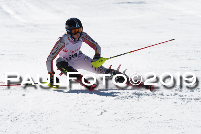 FIS AC + NC AC Slalom Damen + Herren 22.03.2019