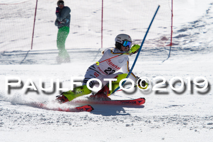 FIS AC + NC AC Slalom Damen + Herren 22.03.2019