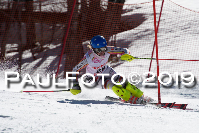 FIS AC + NC AC Slalom Damen + Herren 22.03.2019