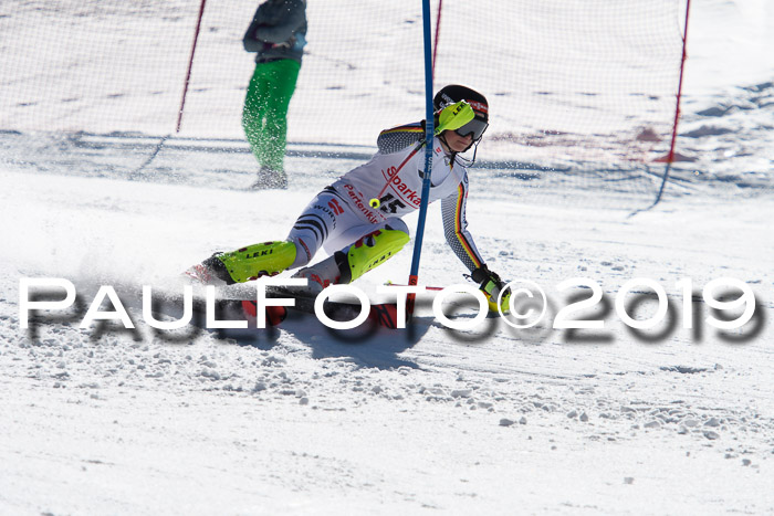 FIS AC + NC AC Slalom Damen + Herren 22.03.2019