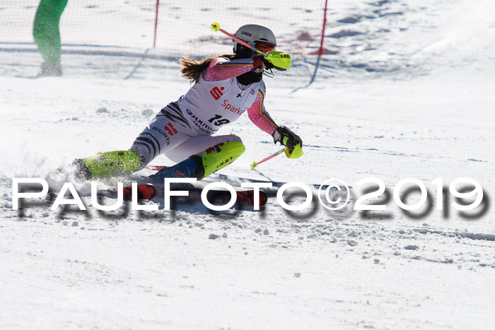 FIS AC + NC AC Slalom Damen + Herren 22.03.2019