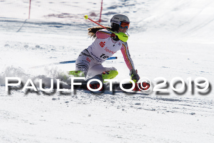 FIS AC + NC AC Slalom Damen + Herren 22.03.2019