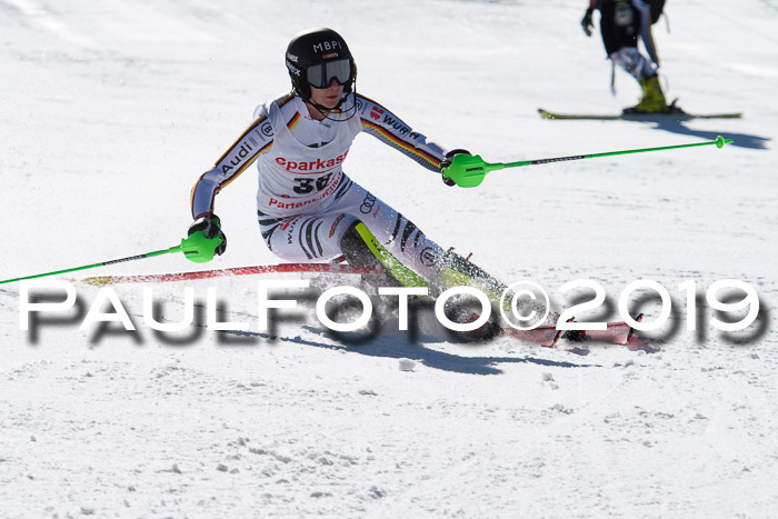 FIS AC + NC AC Slalom Damen + Herren 22.03.2019