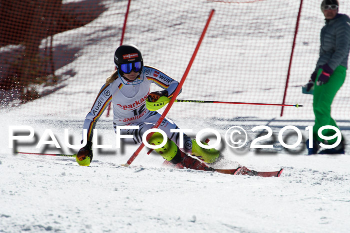 FIS AC + NC AC Slalom Damen + Herren 22.03.2019