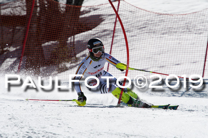 FIS AC + NC AC Slalom Damen + Herren 22.03.2019