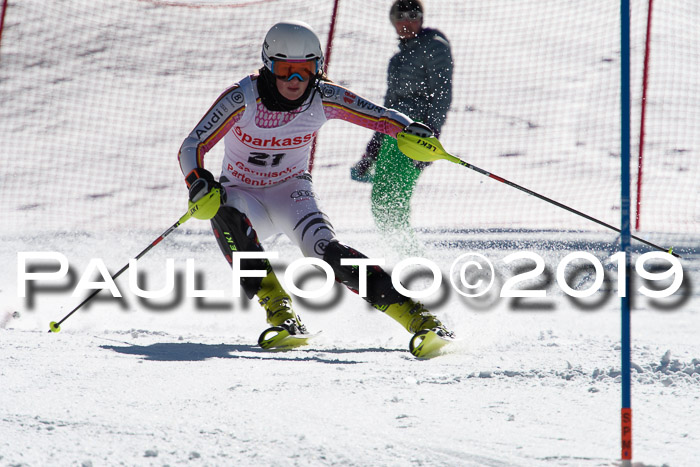 FIS AC + NC AC Slalom Damen + Herren 22.03.2019