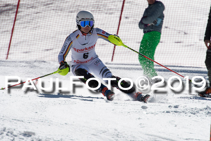 FIS AC + NC AC Slalom Damen + Herren 22.03.2019
