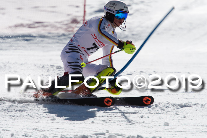 FIS AC + NC AC Slalom Damen + Herren 22.03.2019