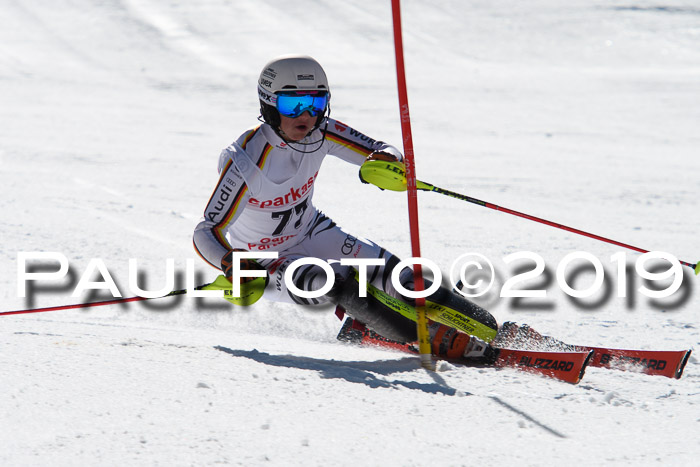 FIS AC + NC AC Slalom Damen + Herren 22.03.2019
