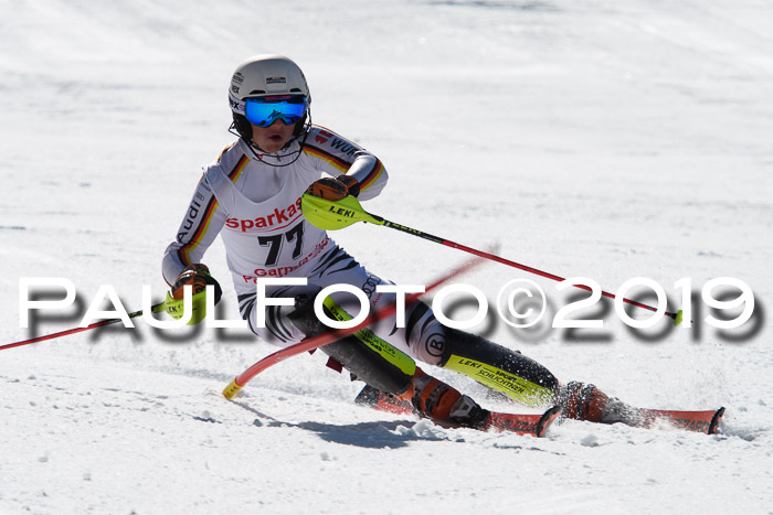 FIS AC + NC AC Slalom Damen + Herren 22.03.2019