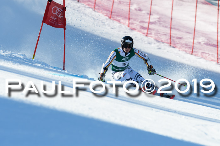 NC Riesenslalom Herren 23.03.2019
