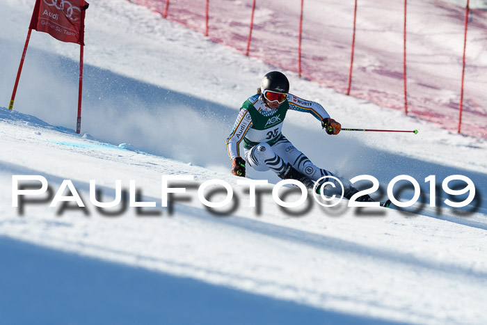 NC Riesenslalom Herren 23.03.2019