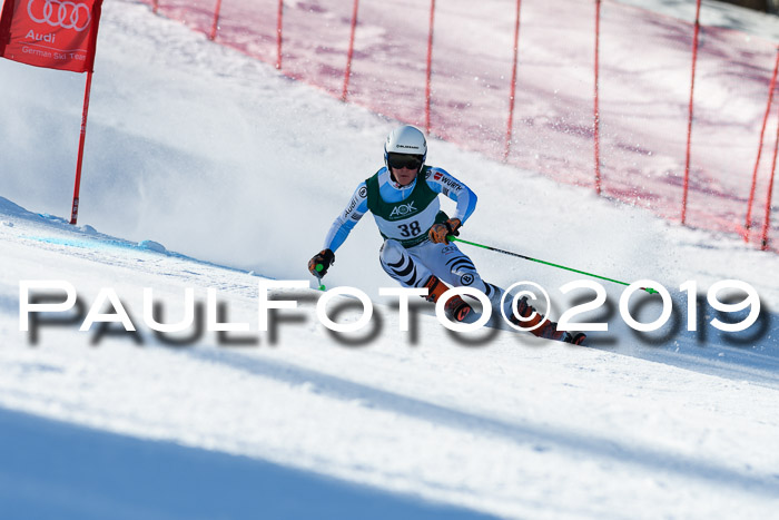NC Riesenslalom Herren 23.03.2019