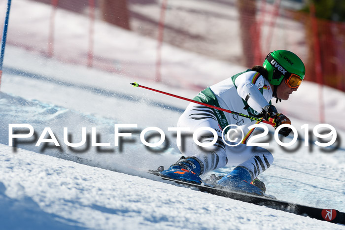 NC Riesenslalom Herren 23.03.2019