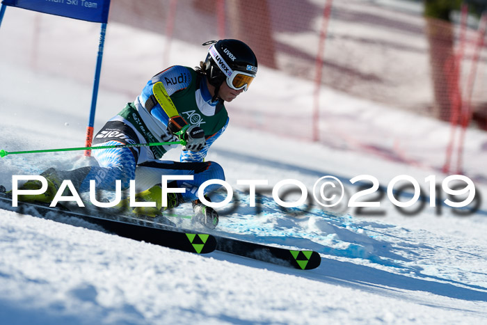 NC Riesenslalom Herren 23.03.2019
