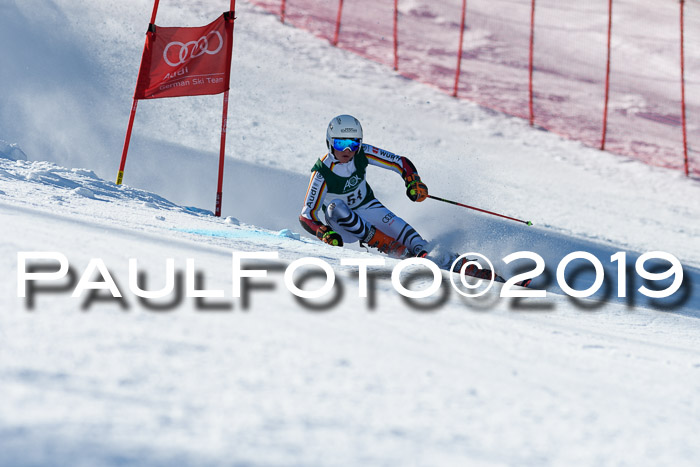 NC Riesenslalom Herren 23.03.2019