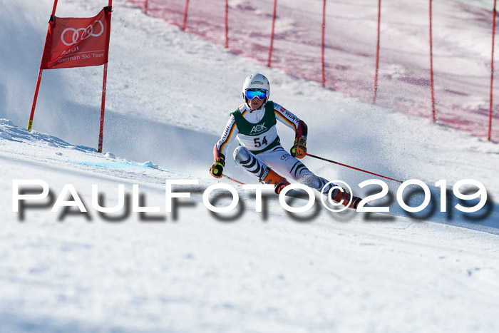 NC Riesenslalom Herren 23.03.2019