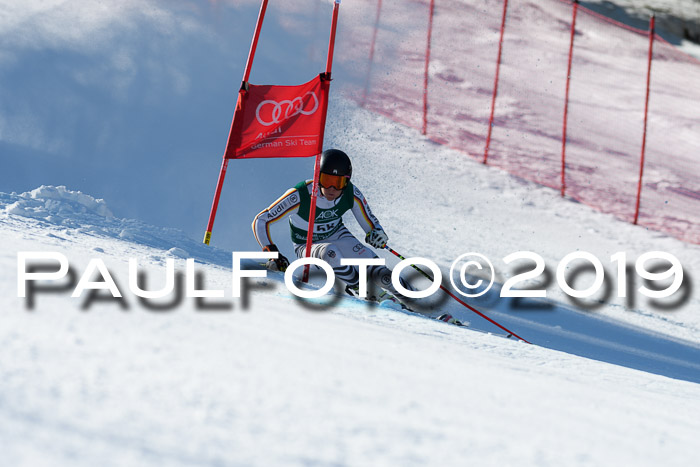 NC Riesenslalom Herren 23.03.2019