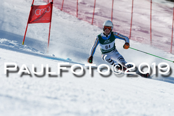 NC Riesenslalom Herren 23.03.2019