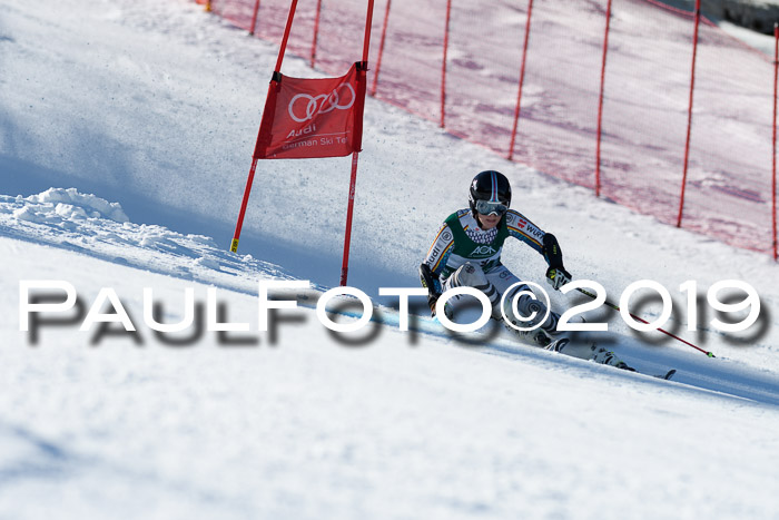 NC Riesenslalom Herren 23.03.2019