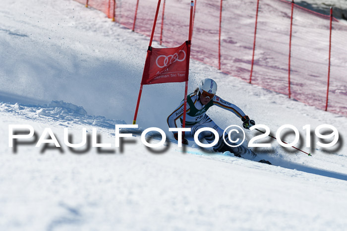 NC Riesenslalom Herren 23.03.2019