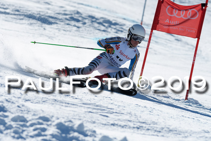 NC Riesenslalom Herren 23.03.2019