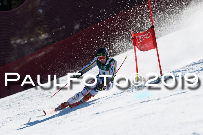 NC Riesenslalom Herren 23.03.2019