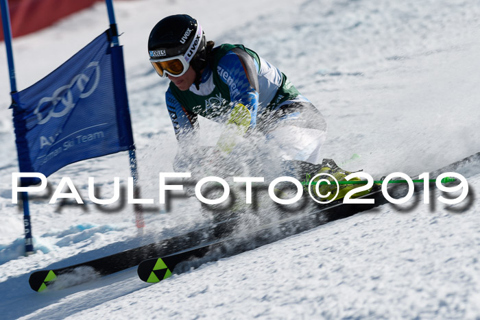 NC Riesenslalom Herren 23.03.2019