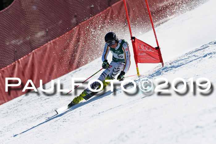 NC Riesenslalom Herren 23.03.2019