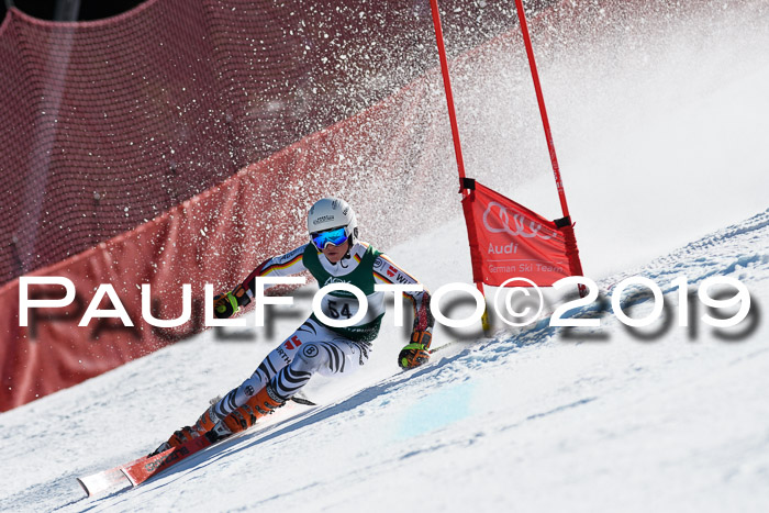 NC Riesenslalom Herren 23.03.2019