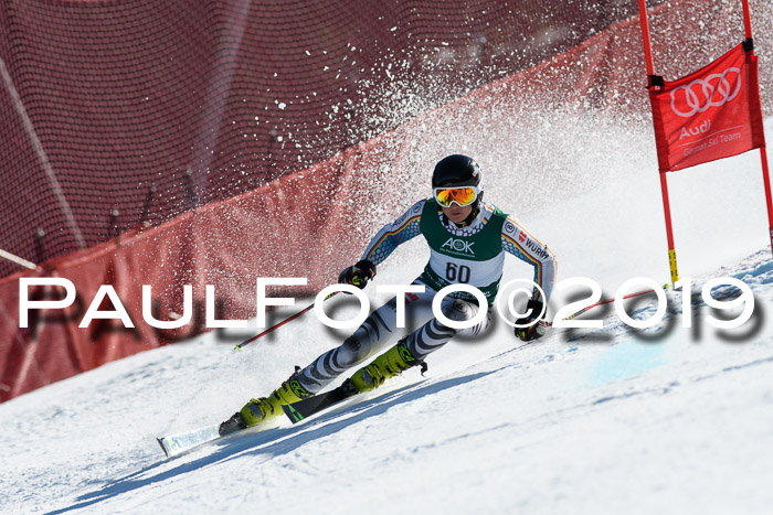 NC Riesenslalom Herren 23.03.2019