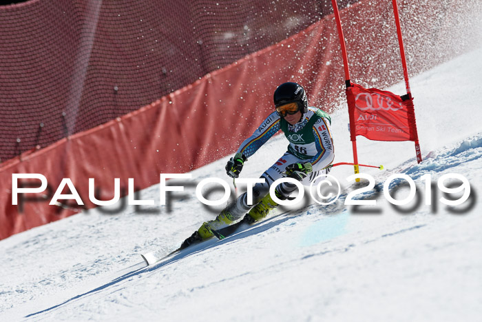 NC Riesenslalom Herren 23.03.2019
