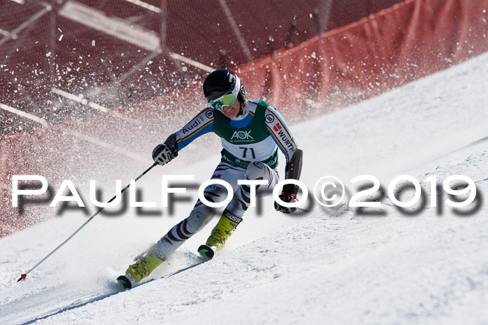 NC Riesenslalom Herren 23.03.2019
