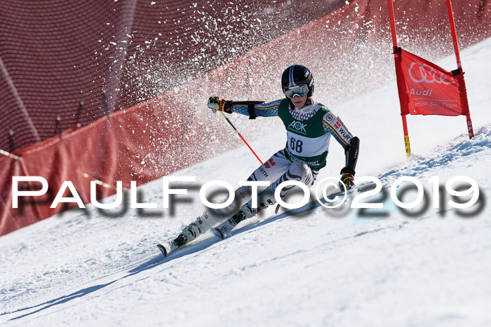NC Riesenslalom Herren 23.03.2019