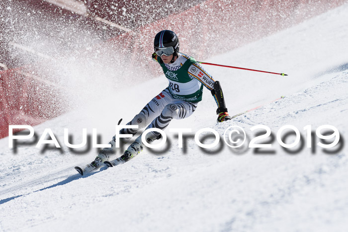 NC Riesenslalom Herren 23.03.2019