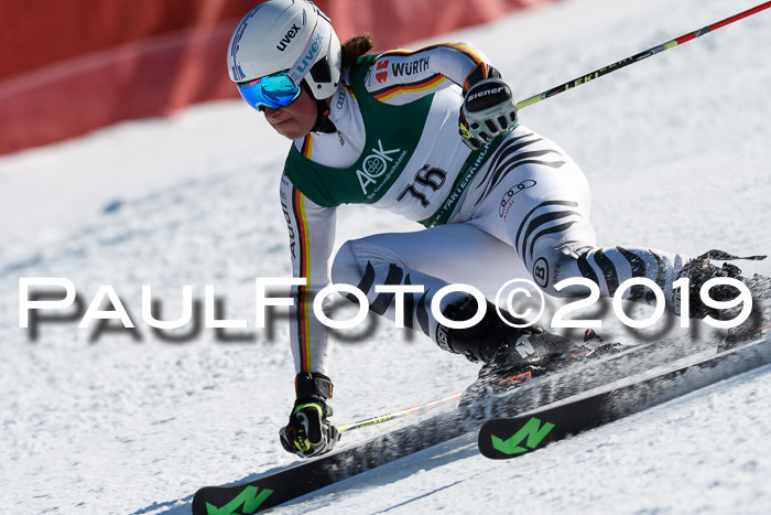 NC Riesenslalom Herren 23.03.2019