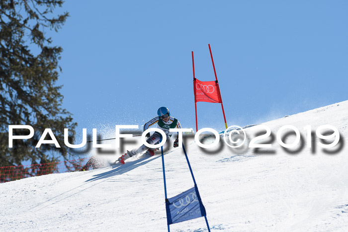 NC Riesenslalom Herren 23.03.2019