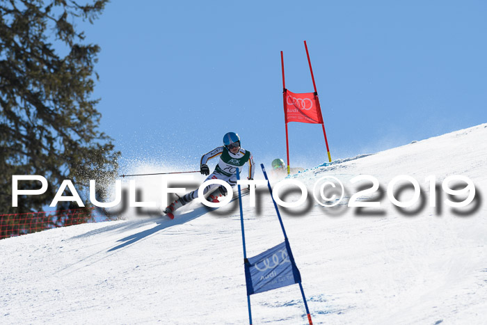 NC Riesenslalom Herren 23.03.2019