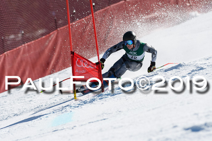 NC Riesenslalom Herren 23.03.2019