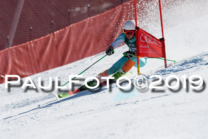NC Riesenslalom Herren 23.03.2019