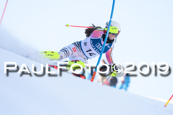 NC Slalom Damen Gudiberg 23.03.2019