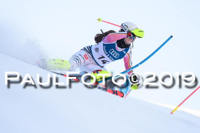 NC Slalom Damen Gudiberg 23.03.2019