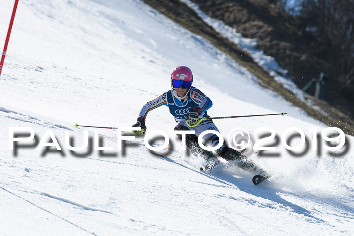 NC Slalom Damen Gudiberg 23.03.2019