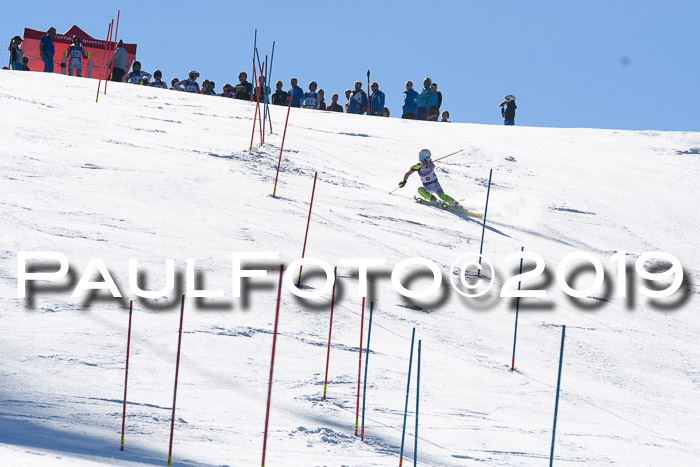 NC Slalom Damen Gudiberg 23.03.2019