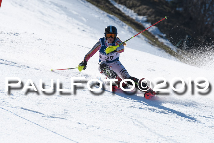NC Slalom Damen Gudiberg 23.03.2019