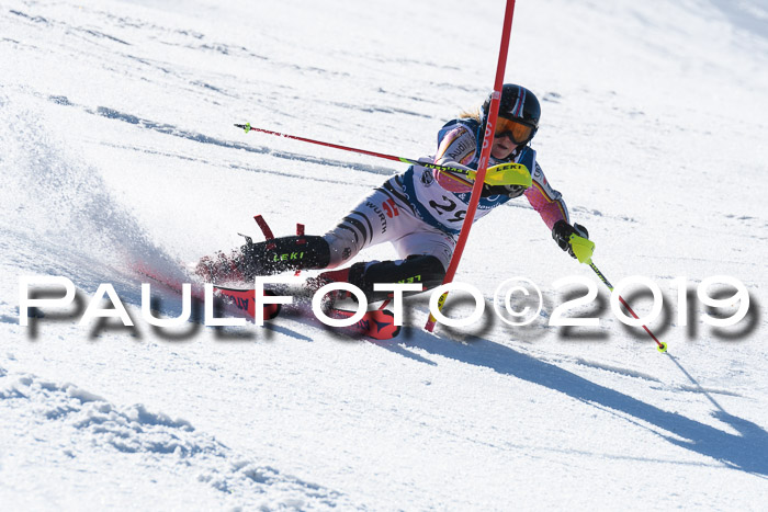 NC Slalom Damen Gudiberg 23.03.2019