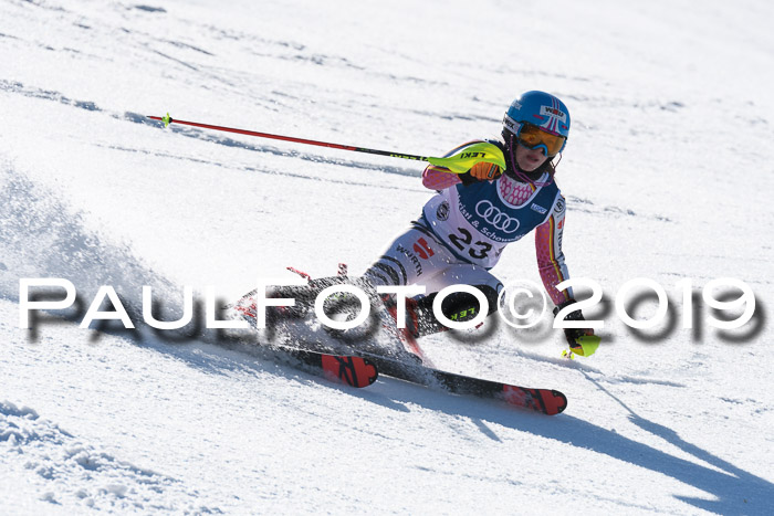 NC Slalom Damen Gudiberg 23.03.2019